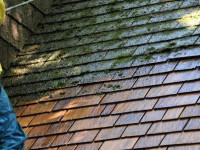 cedar restoration